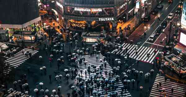 属猪2024年7月21日运势,属猪人2024年7月21日财运,生肖猪2024年7月21日运势